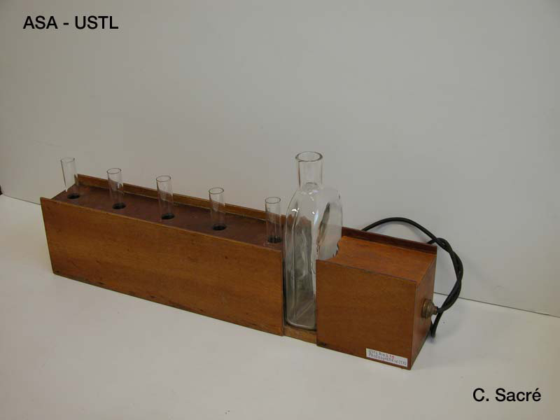 Photosynthèse_1