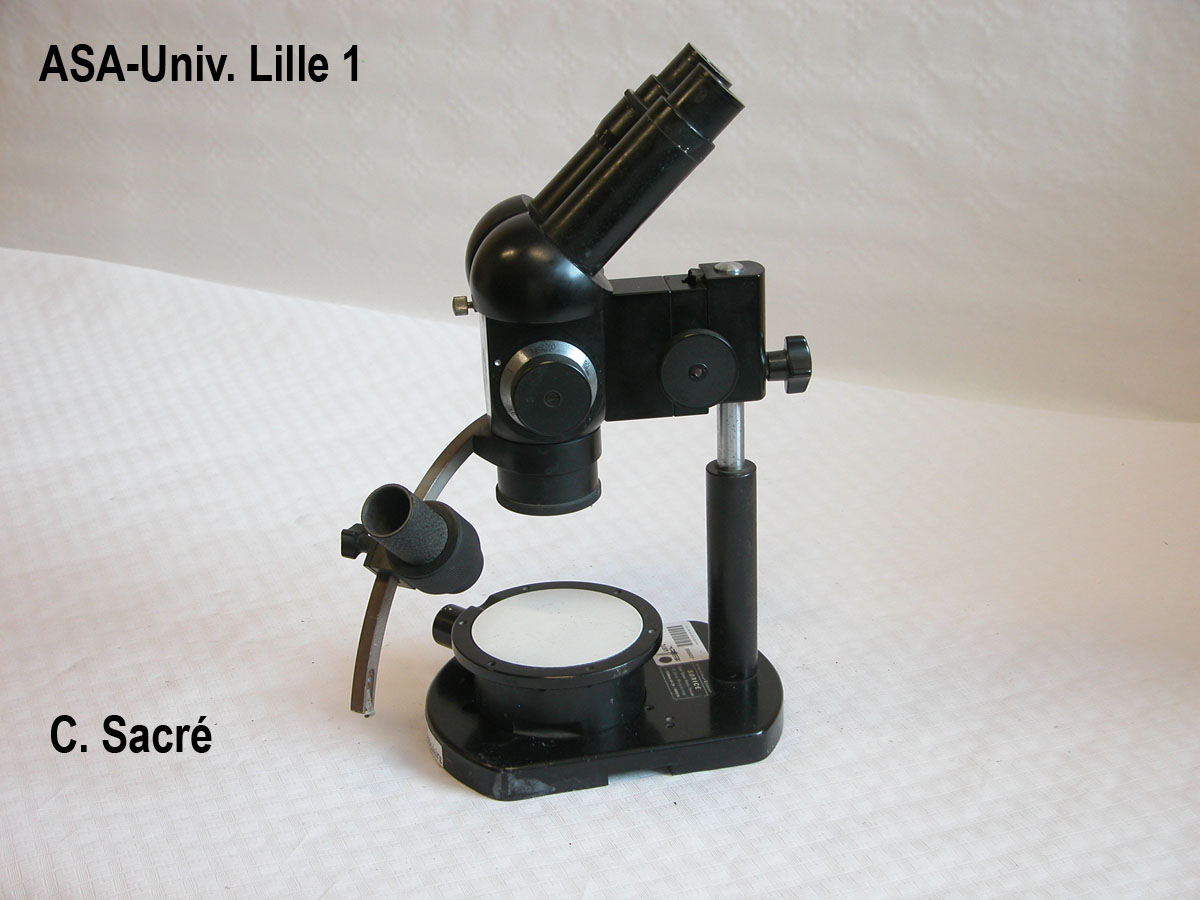 Loupe binoculaire_1