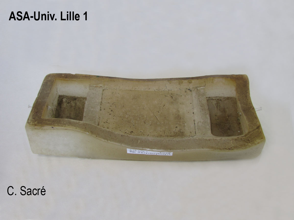 Cuve d'électrophorèse_1