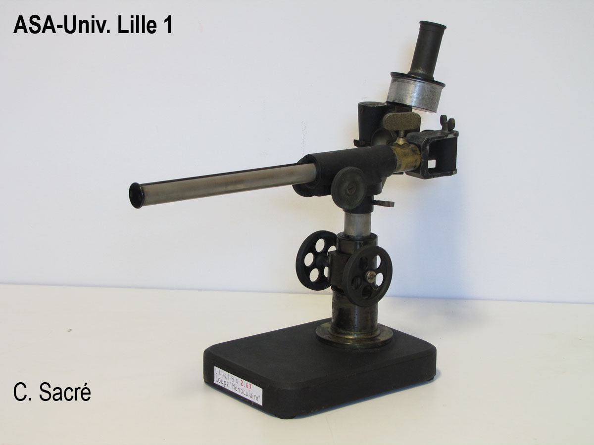 Loupe pivotante_1