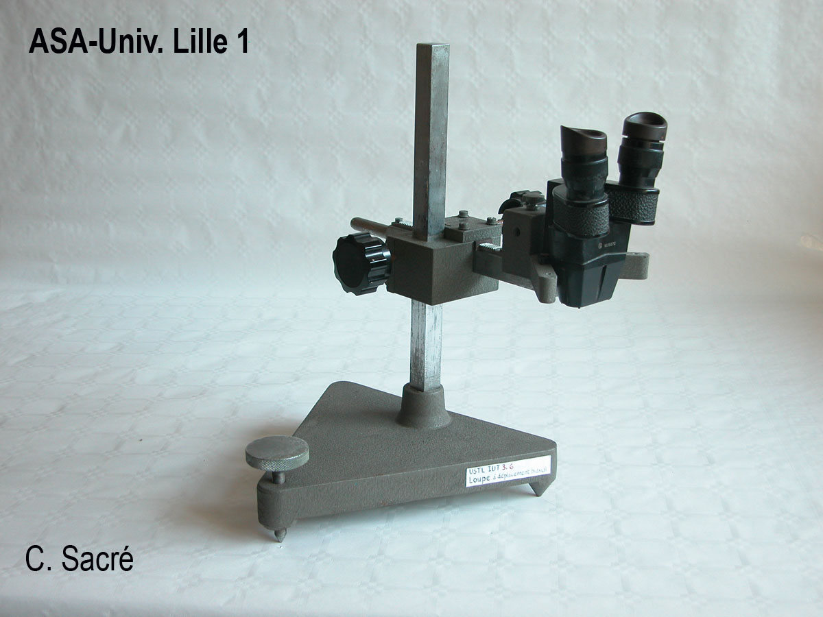 Loupe binoculaire_1