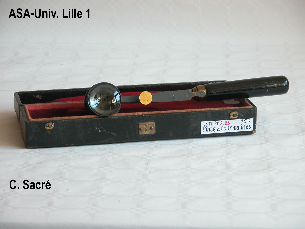 Pince à tourmalines_2