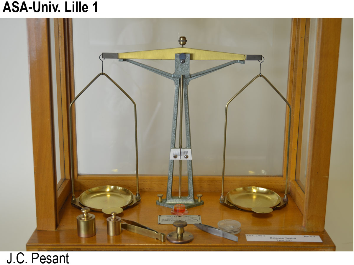 Balance Testut_2