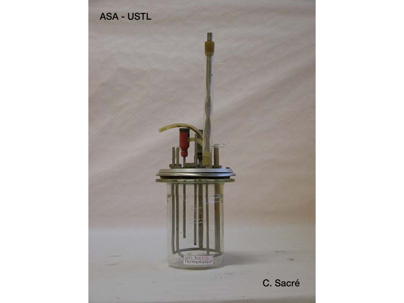 Fermenteur_1
