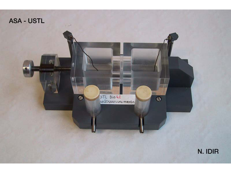 Flux à travers une membrane_1