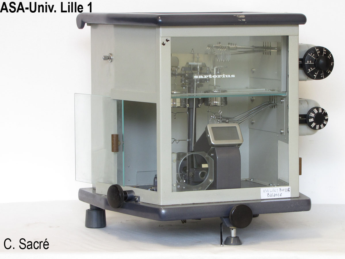 Balance Sartorius 2_1