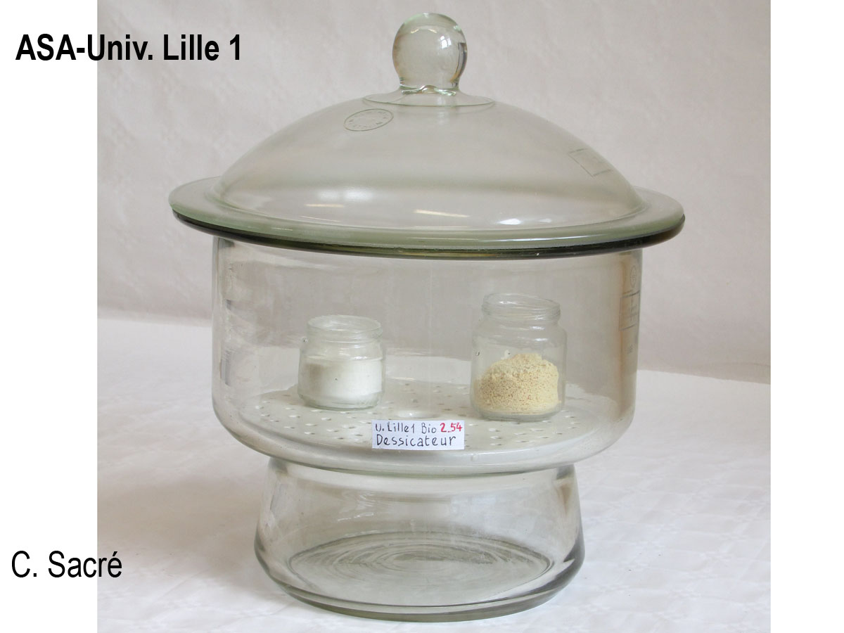 Dessicateur de 25 cm_1