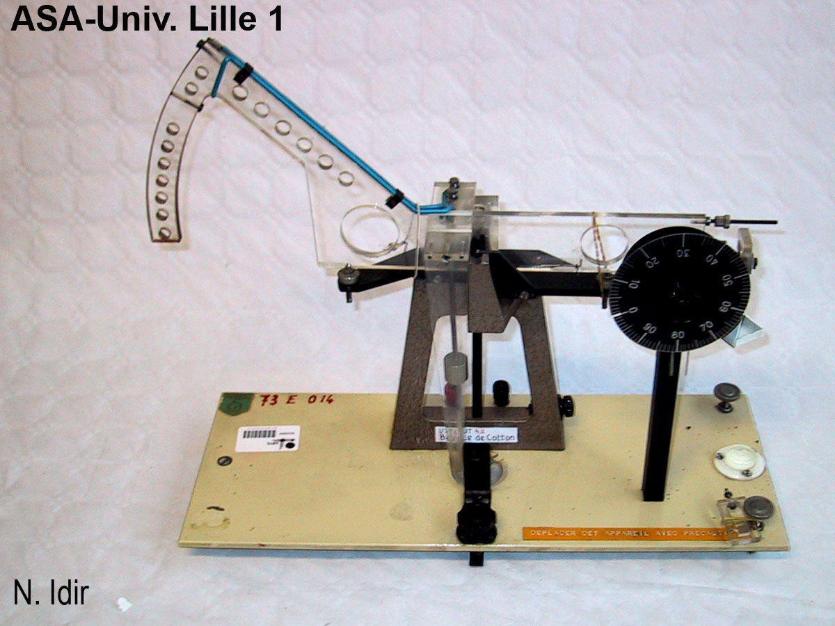 Balance de Coton 2_1