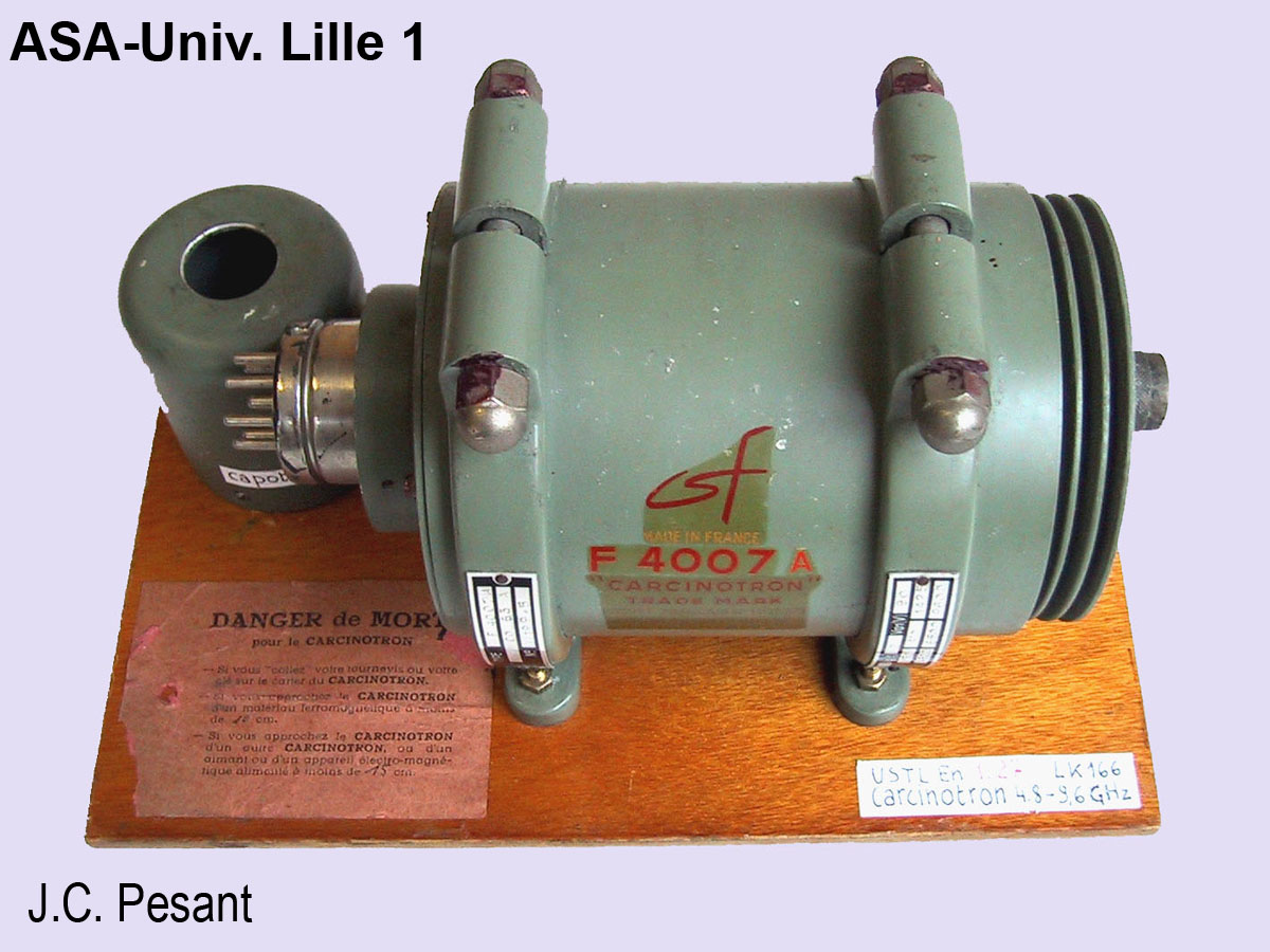 Carcinotrons_3