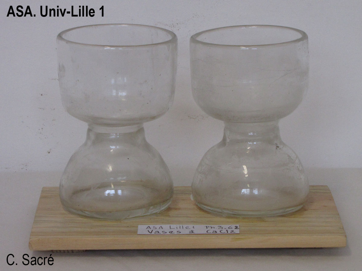 Vases à chlorure de calcium_1