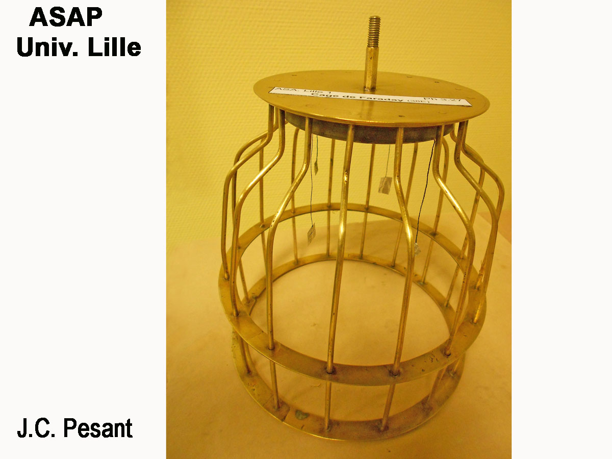 cage_faraday-phymuse