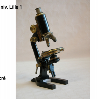 3.4. 6 Microscope de bureau
