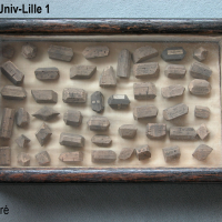 7.1. 1 Boîte de cristaux de Pasteur